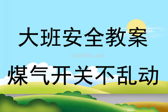 大班安全教育活動煤氣開關不亂動教案反思