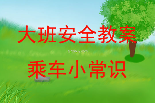大班安全教育活動乘車小常識教案反思