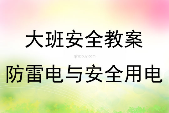 大班安全防雷電與安全用電教案反思