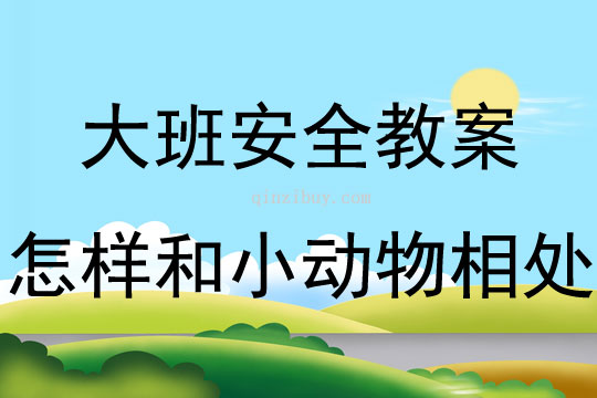 大班安全怎樣和小動物相處教案反思