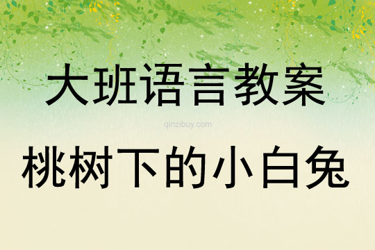 大班語言桃樹下的小白兔教案反思