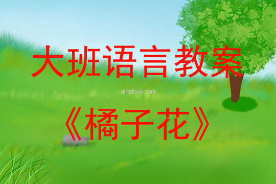 大班語言活動橘子花教案反思