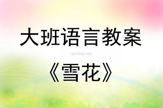 大班語言活散文詩《雪花》教案反思