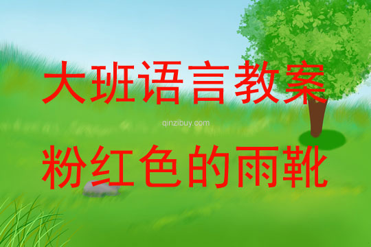 大班語言活動粉紅色的雨靴教案反思