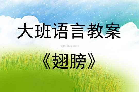 大班語言活動翅膀教案反思