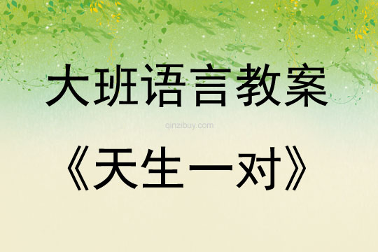 大班語言活動天生一對教案反思