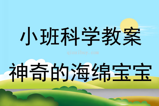 小班科學神奇的海綿寶寶教案反思