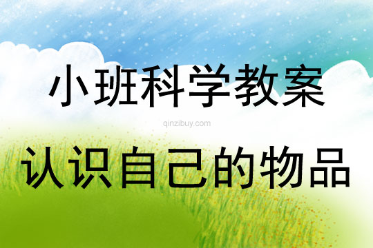 小班科學活動認識自己的物品教案反思