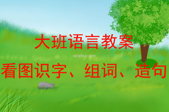 大班語(yǔ)言《看圖識(shí)字、組詞、造句》教案反思