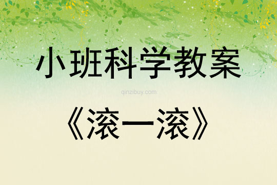 小班科學(xué)滾一滾教案反思