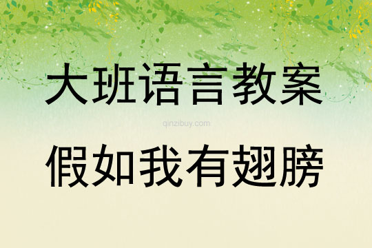 大班語言活動假如我有翅膀教案反思