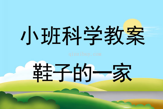 小班科學活動鞋子的一家教案反思
