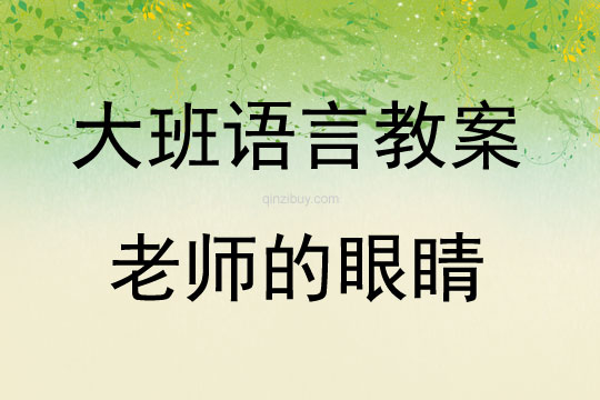 大班語(yǔ)言活動(dòng)老師的眼睛教案反思