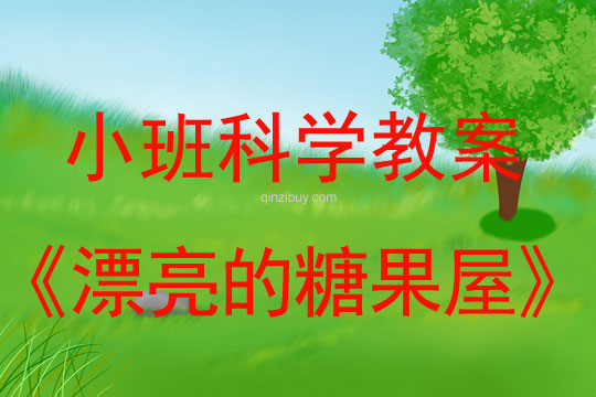 小班科學活動漂亮的糖果屋教案反思