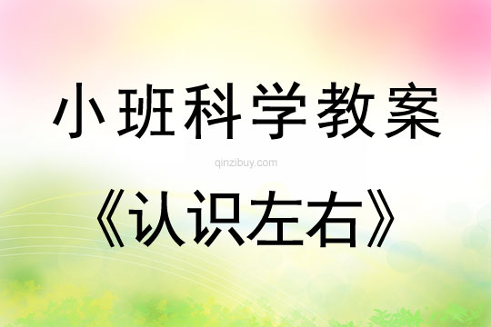 小班科學認識左右教案