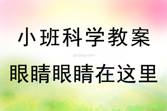 小班科學活動眼睛眼睛在這里教案反思
