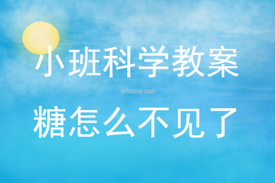 小班科學糖怎么不見了教案反思