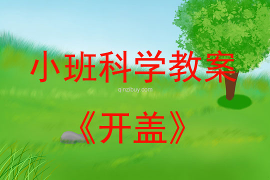 小班科學活動開蓋教案反思