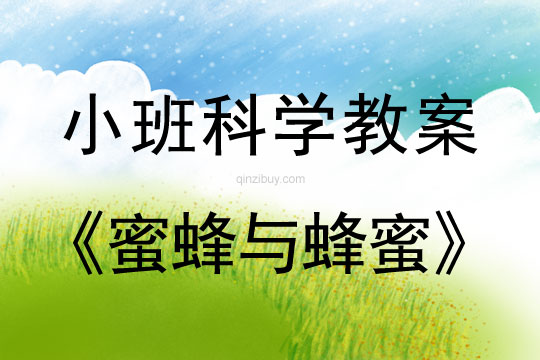 小班科學活動教案：蜜蜂與蜂蜜教案