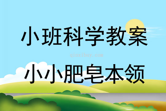 小班科學活動小小肥皂本領大教案反思