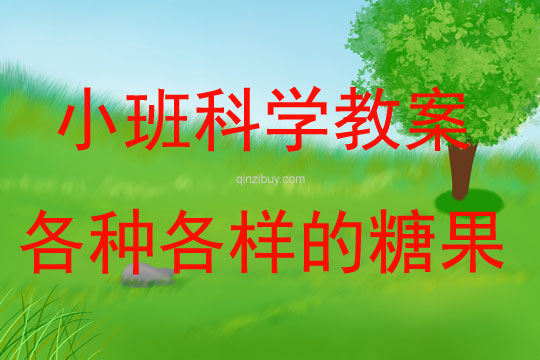 小班科學(xué)活動(dòng)各種各樣的糖果教案反思