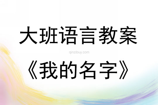 大班語言活動我的名字教案反思
