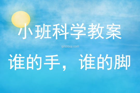 小班科學誰的手，誰的腳教案反思