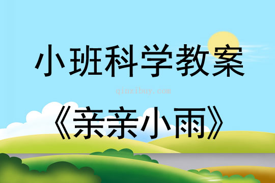 小班科學(xué)活動(dòng)親親小雨教案反思