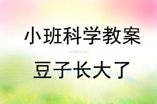 小班科學活動豆子長大了教案反思