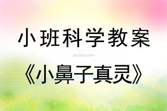 小班科學活動教案：小鼻子真靈教案(附教學反思)