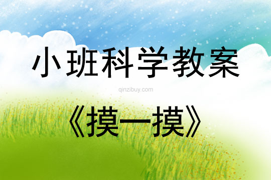 小班科學(xué)活動教案：摸一摸教案(附教學(xué)反思)