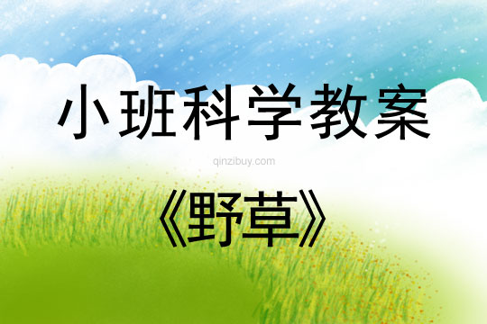 小班科學活動教案：野草教案(附教學反思)