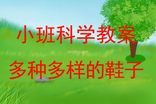 小班科學活動教案：多種多樣的鞋子教案(附教學反思)
