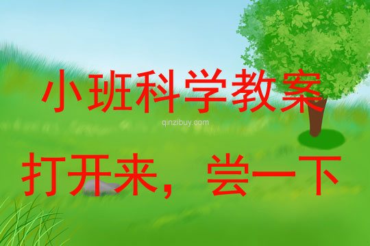 小班科學活動打開來，嘗一下教案反思