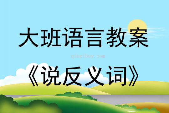 大班語言活動說反義詞教案反思