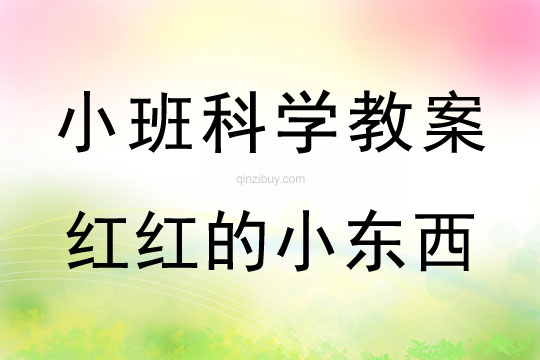 小班科學(xué)紅紅的小東西教案反思