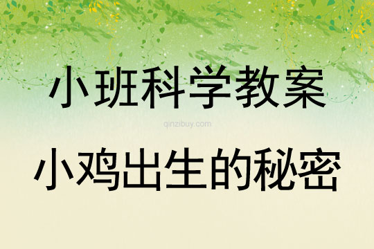 小班科學活動小雞出生的秘密教案反思