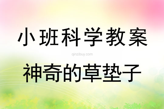 小班科學神奇的草墊子教案反思