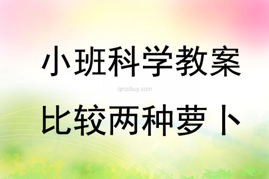 小班科學活動比較兩種蘿卜教案反思