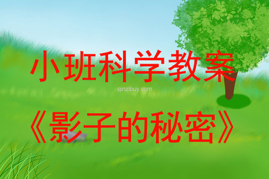 小班科學活動影子的秘密教案反思