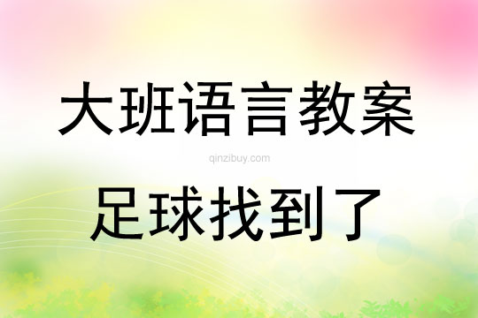 大班語言活動看圖講述《足球找到了》教案