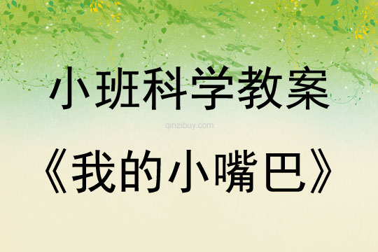 小班科學(xué)活動(dòng)我的小嘴巴教案反思
