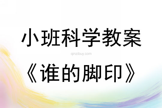 小班科學誰的腳印教案反思