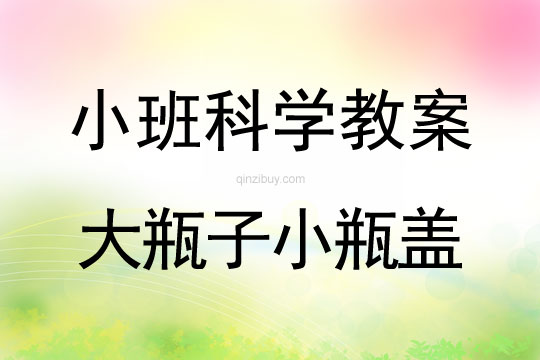 小班科學活動大瓶子小瓶蓋教案反思
