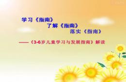 幼兒園指南解讀培訓PPT課件