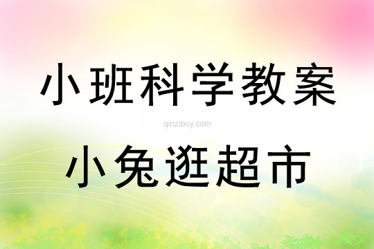 幼兒園小班科學活動設計：小兔逛超市小班科學活動設計：小兔逛超市