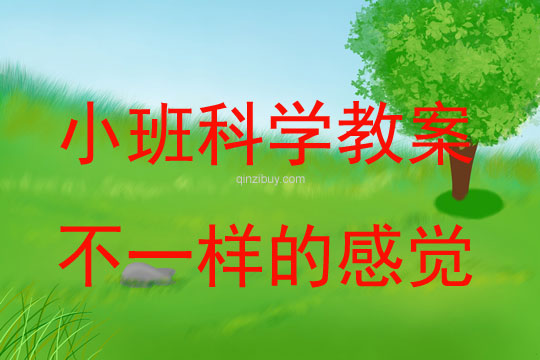 小班科學教案：不一樣的感覺小班科學教案：不一樣的感覺