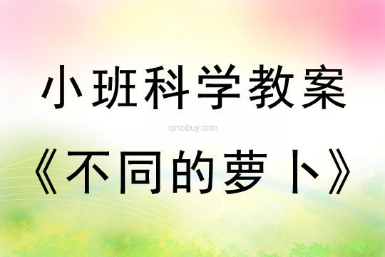小班科學(xué)：不同的蘿卜小班科學(xué)教案：不同的蘿卜