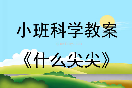 幼兒園小班科學教案：什么尖尖小班科學教案：什么尖尖