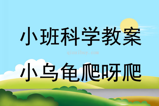 幼兒園小班科學活動：小烏龜爬呀爬小班科學活動：小烏龜爬呀爬